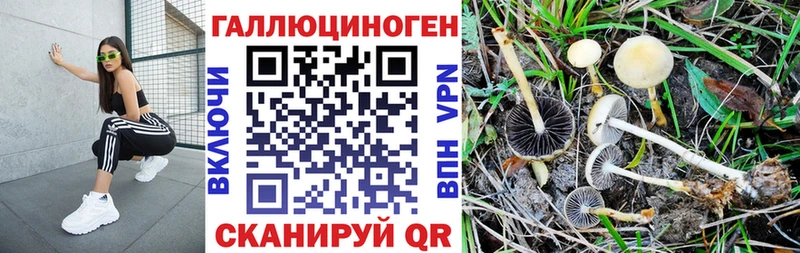 купить Уфа Галлюциногенные грибы мицелий