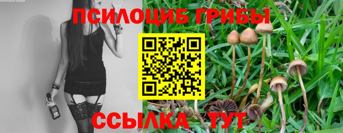 Галлюциногенные грибы ЛСД  Псилоцибиновые грибы ЛСД  где найти наркотики  Вход с VPN  Уфа 