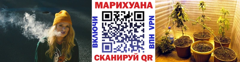 Бошки марихуана THC 21%  где найти   Уфа 